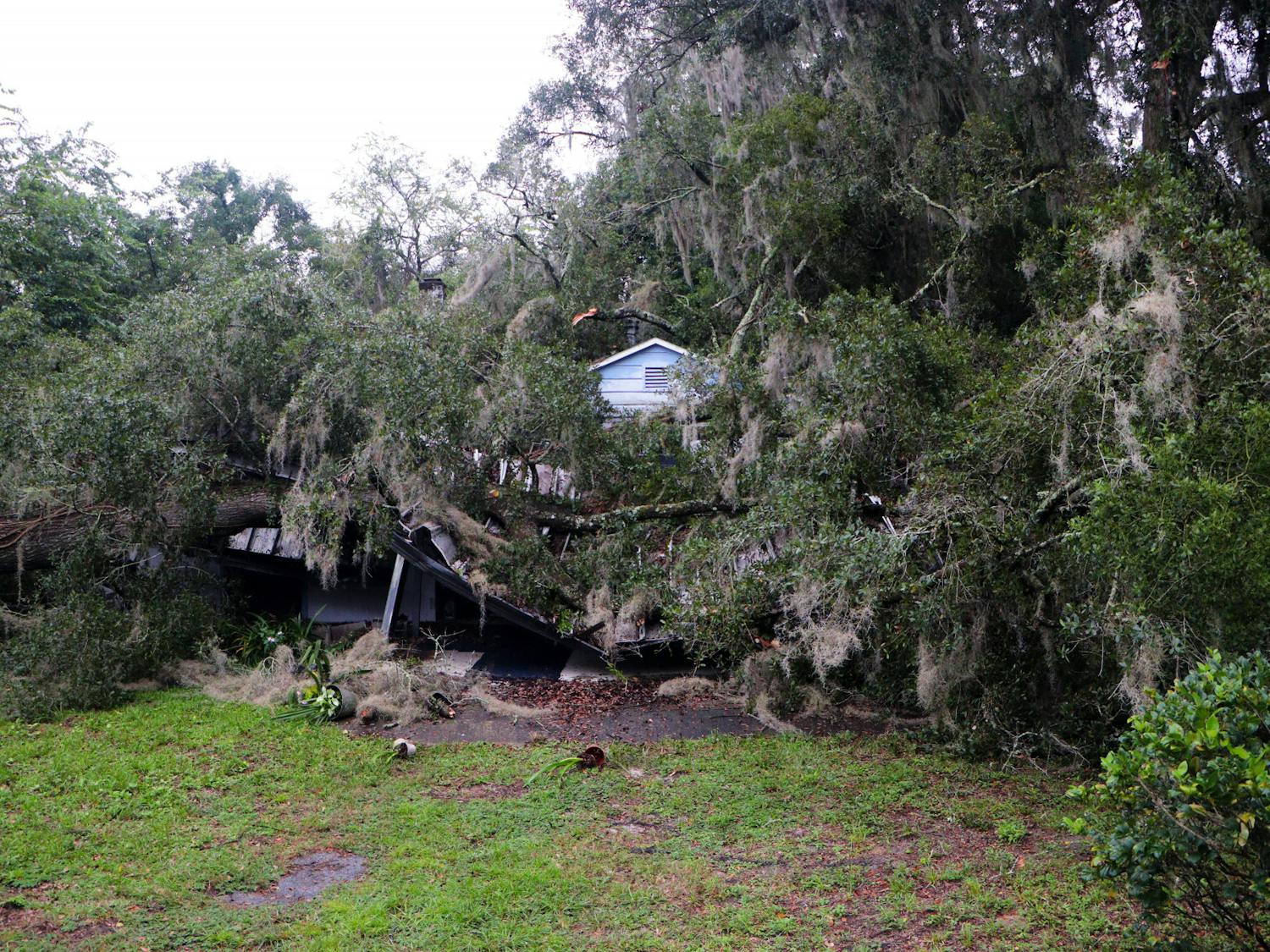 A tree smashes through a house in the Stephen Foster neighborhood the day Hurricane Ian hit Gainesville Wednesday, Sept. 28, 2022.