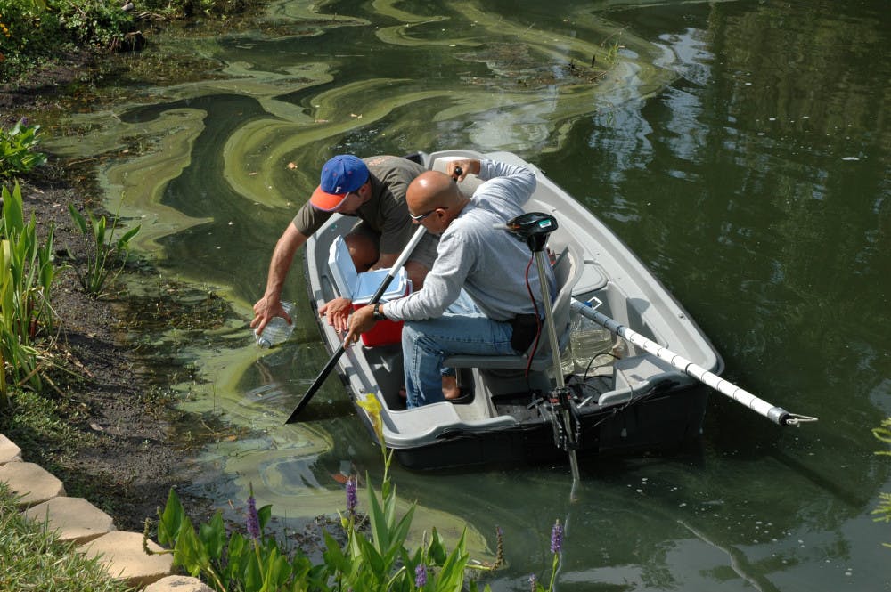 <p><span>Students of UF professor Edward Phlips taking cyanobacteria samples out of a lake of an algal bloom.</span></p>