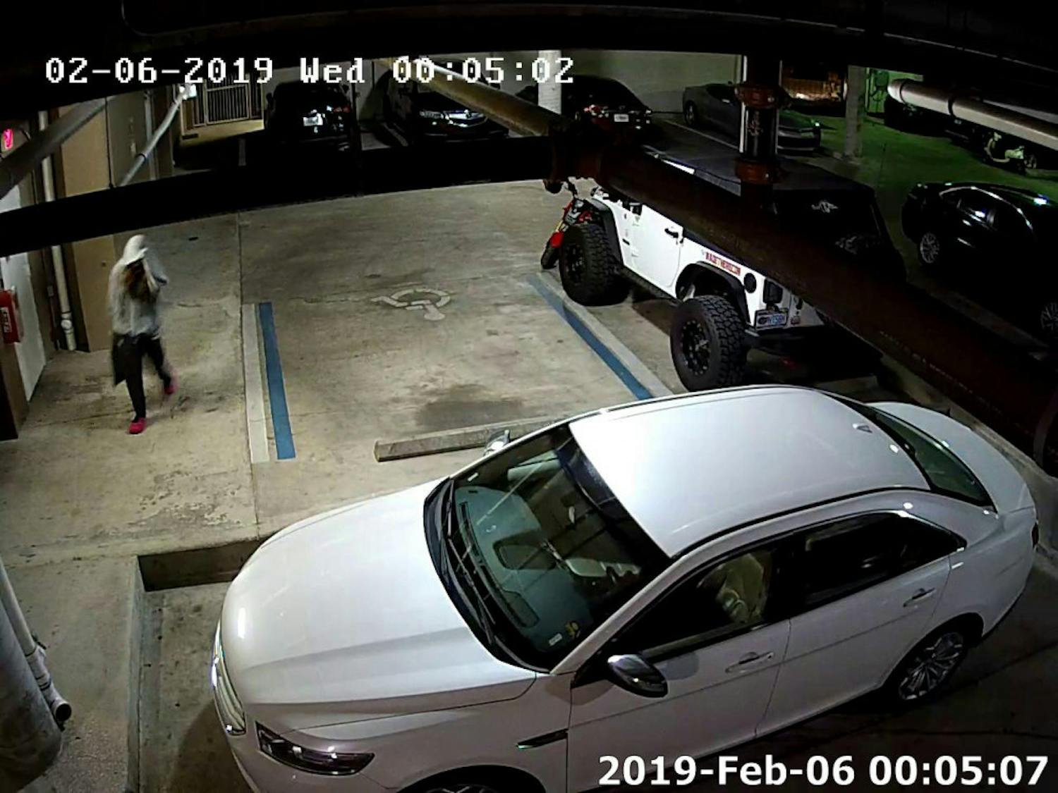 Alachua County Animal Services is looking for woman suspected of killing a cat and placing it in a bag and on someone's car.