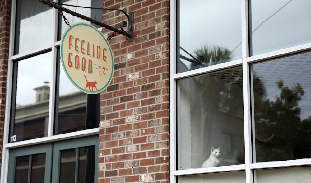 A white cat sits at the window of the Feeline Good Cat Café on Sunday, July 4, 2021. At the café, visitors can pet cats while enjoying beverages.