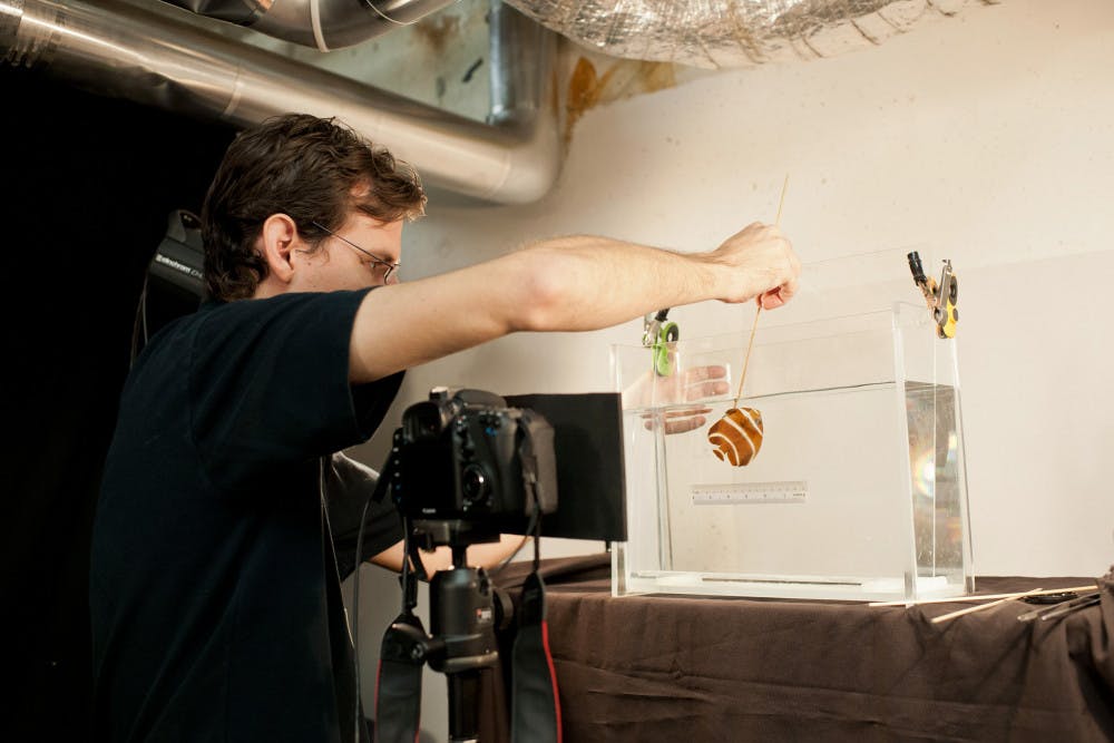 Zachary Randall, an ichthyology collections technician, prepares to photograph a specimen at Florida Museum of Natural History.