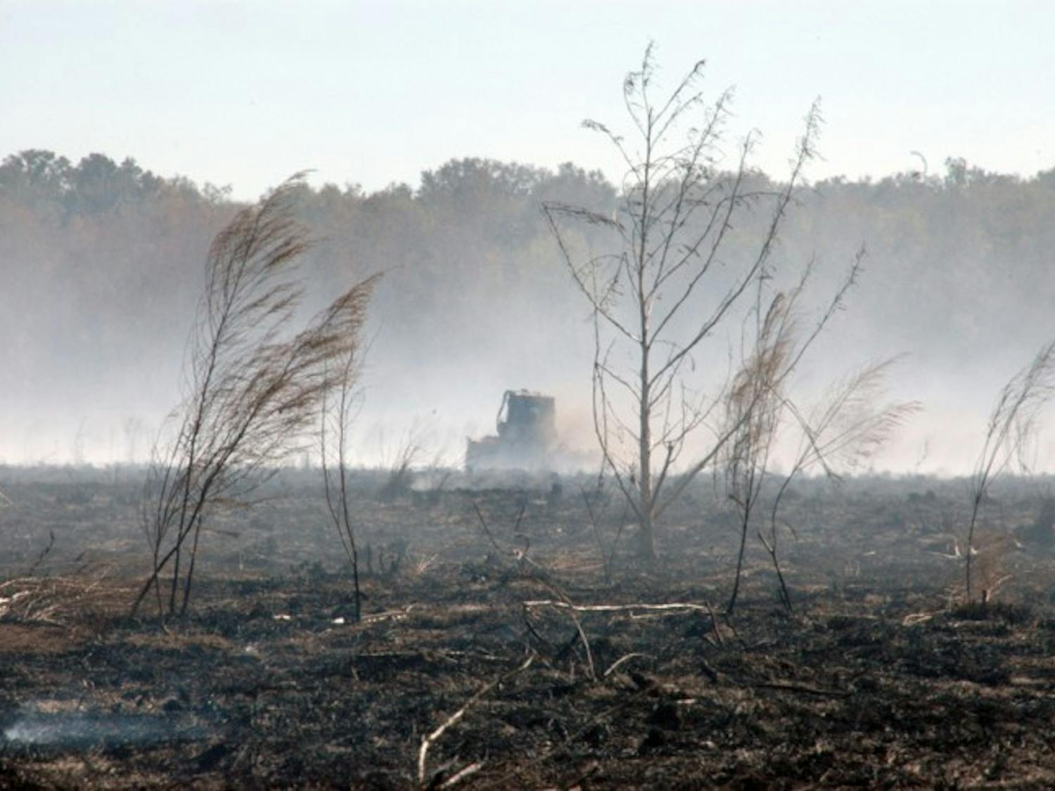 A tractor drives across a burned section of Paynes Prairie Preserve State Park on Monday afternoon. The smoke from the prairie fire caused a series of crashes Sunday morning that killed at least 10 people.