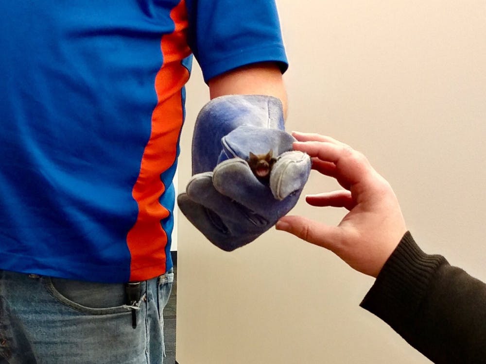 Libatty West, a furry brown bat the size of an egg, was safely removed Wednesday morning when he was found sleeping in Library West. Libatty's origins are unknown. 