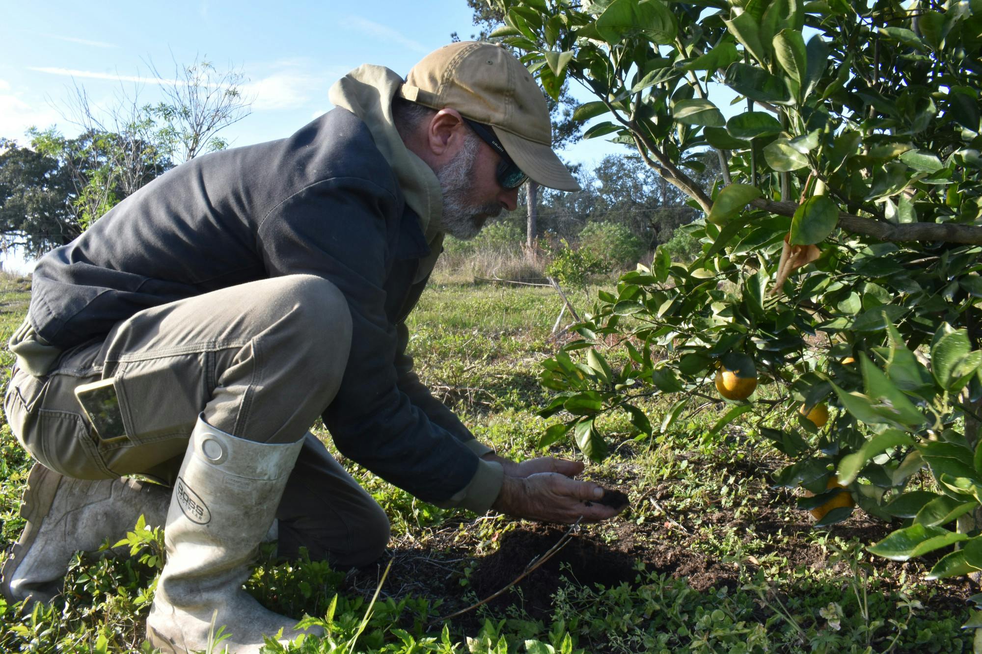 North Central Florida Farmers, Experts Find New Ways To Combat Citrus ...