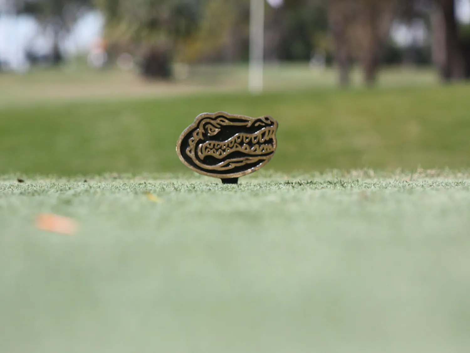 The Florida men's golf team was eliminated from the NCAA Regionals on Wednesday.