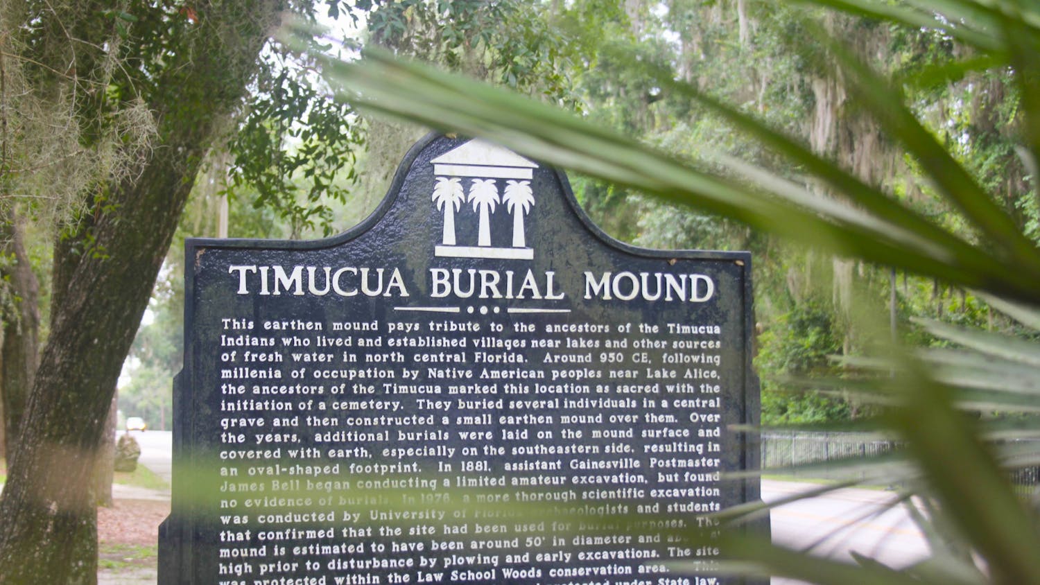 Signage giving a brief description of the Timucua tribe is seen near the Levin College of Law on Saturday, July 29, 2023.