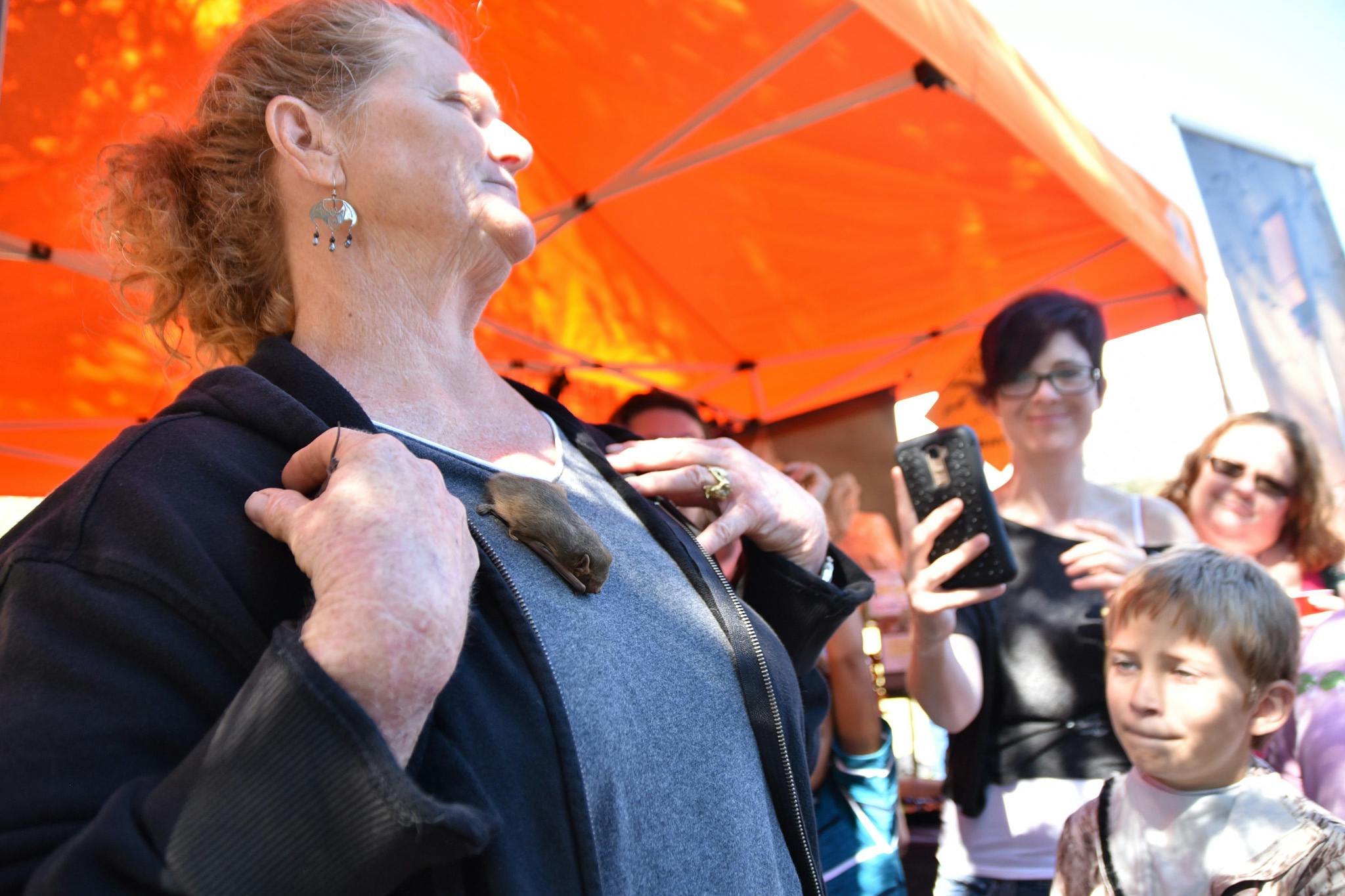 President of the Florida Bat Conservation, Shari Blissett-Clark, holds a bat during the Lubee Bat Conservancy’s 12th Annual Florida Bat Festival on Saturday at 1309 NW 192nd Ave. 
