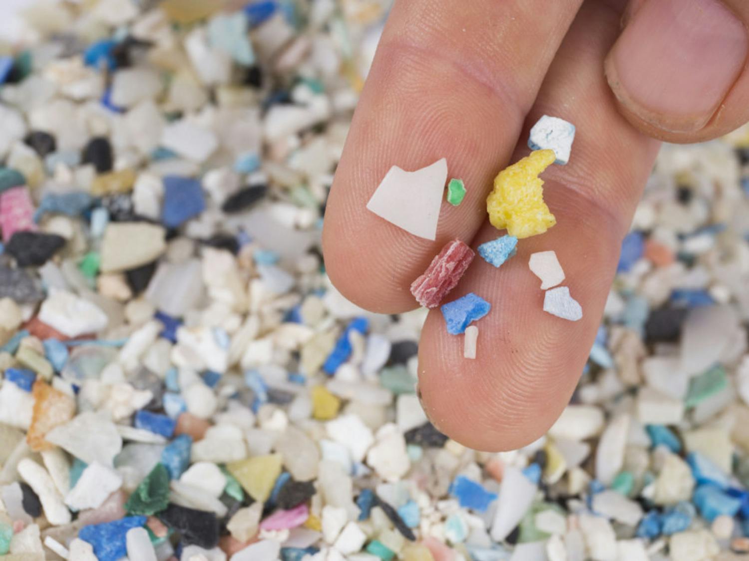 A pile of microplastic collected by The Florida Microplastic Awareness Project. Plastics like these are among the top ocean pollutants, according to Savanna Barry, a Cedar Key volunteer coordinator with the project.
