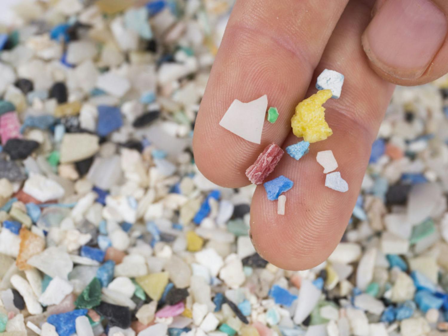 A pile of microplastic collected by The Florida Microplastic Awareness Project. Plastics like these are among the top ocean pollutants, according to Savanna Barry, a Cedar Key volunteer coordinator with the project.&nbsp;
&nbsp;
