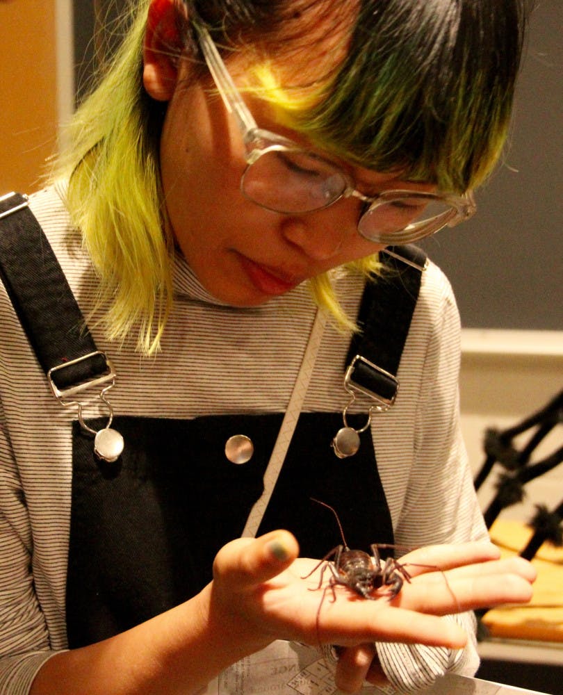 Emily Tran, a 20-year-old UF graphic design junior, holds a vinegaroon. The arachnid expels acetic acid when it feels threatened, which smells like vinegar. 
