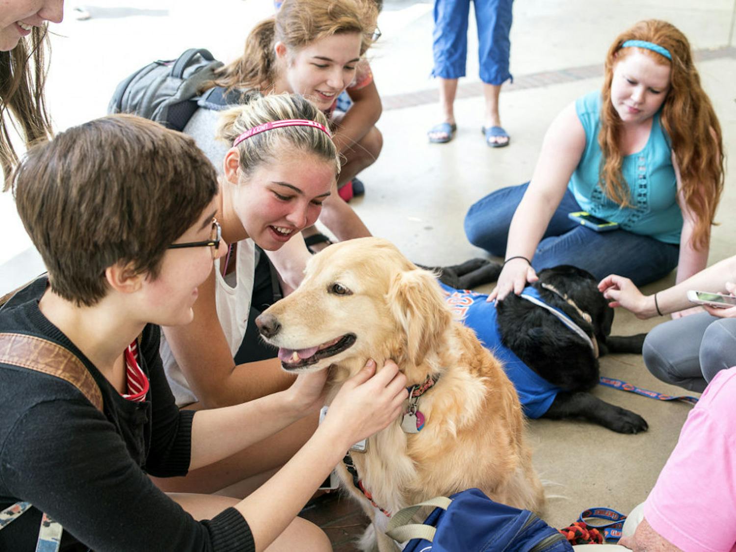 Fara, a 7-year-old golden retriever from Love on a Leash, was one of two dogs who visited students outside Library West during finals relaxation week.