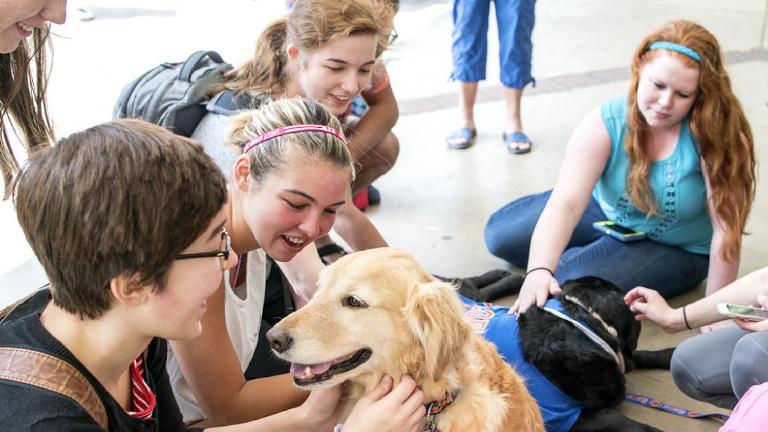 Fara, a 7-year-old golden retriever from Love on a Leash, was one of two dogs who visited students outside Library West during finals relaxation week.