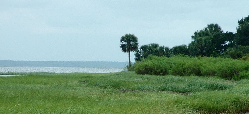 St Mark's National Wildlife Refuge