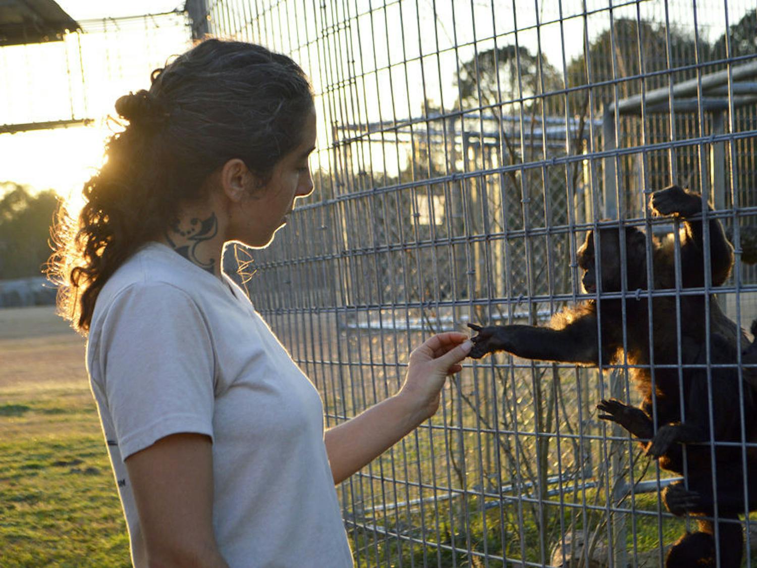 Veronika Blanco, a caretaker at Jungle Friends Primate Sanctuary, feeds peanuts to her Brown-Faced Capuchin Monkeys for their afternoon treats. Most of the monkeys Blanco cares for come from medical testing centers and live out the rest of their lives with other Capuchins at Jungle Friends.