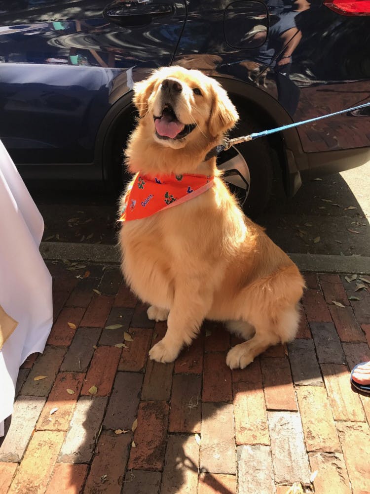 Katie Davis’ golden retriever, Oakley, poses after winning best trick at Sweet Paws Bakery’s 10th anniversary on Saturday. The event raised $125 for Gainesville Pet Rescue Inc. and Haile’s Angels Pet Rescue from a $5 fee collected from competition participants.