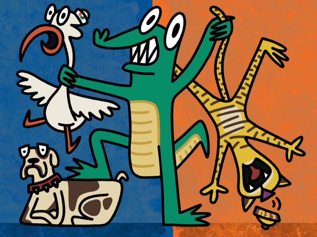 Although the Gators have many rivals, few have left the Swamp alive…