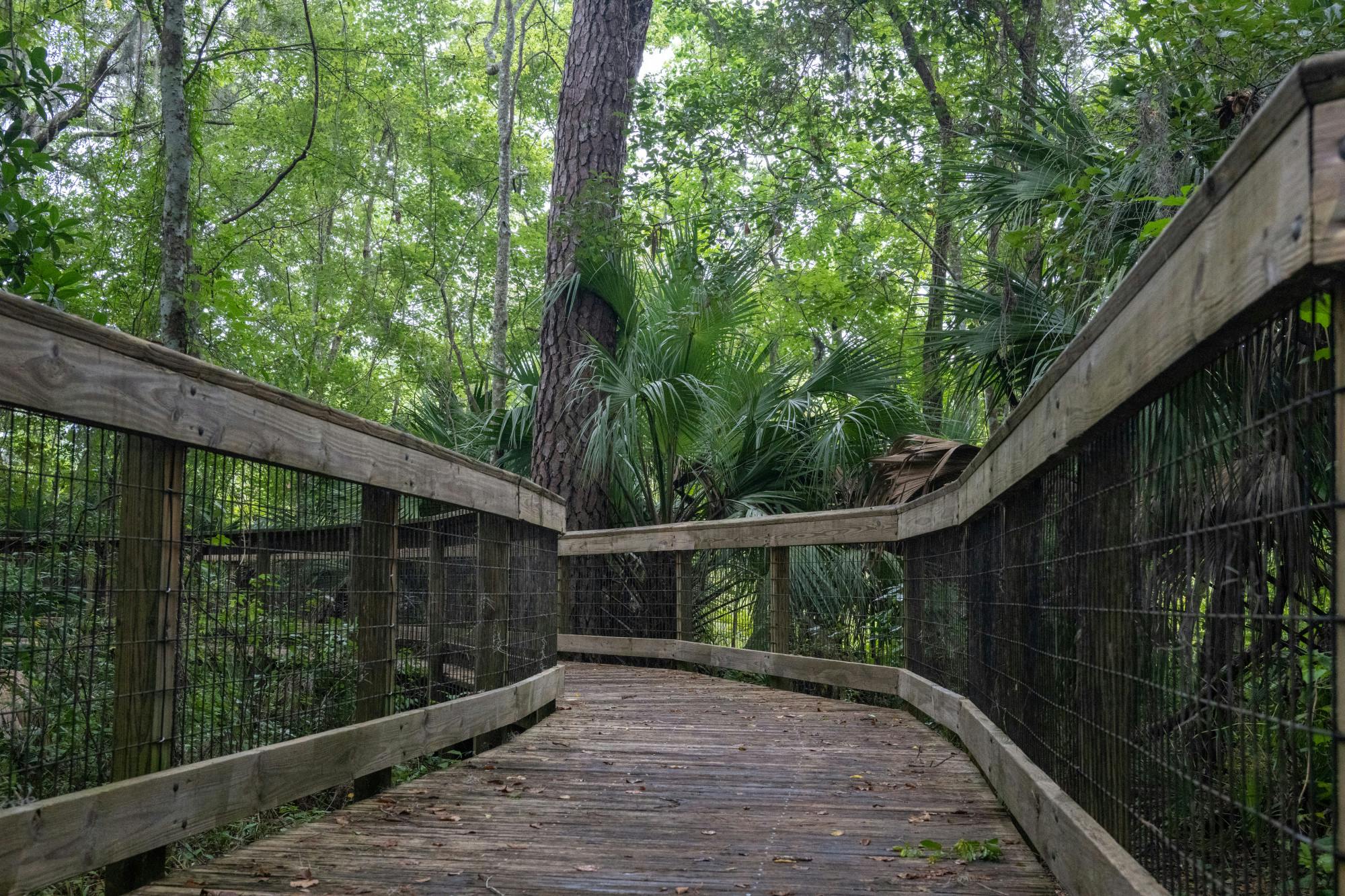 Bivens Arm Nature Park features many curvy trails and boardwalks for the Gainesville community to enjoy.