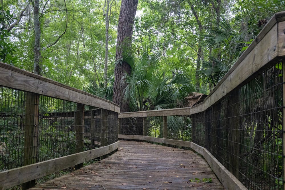 <p>Bivens Arm Nature Park features many curvy trails and boardwalks for the Gainesville community to enjoy.</p>