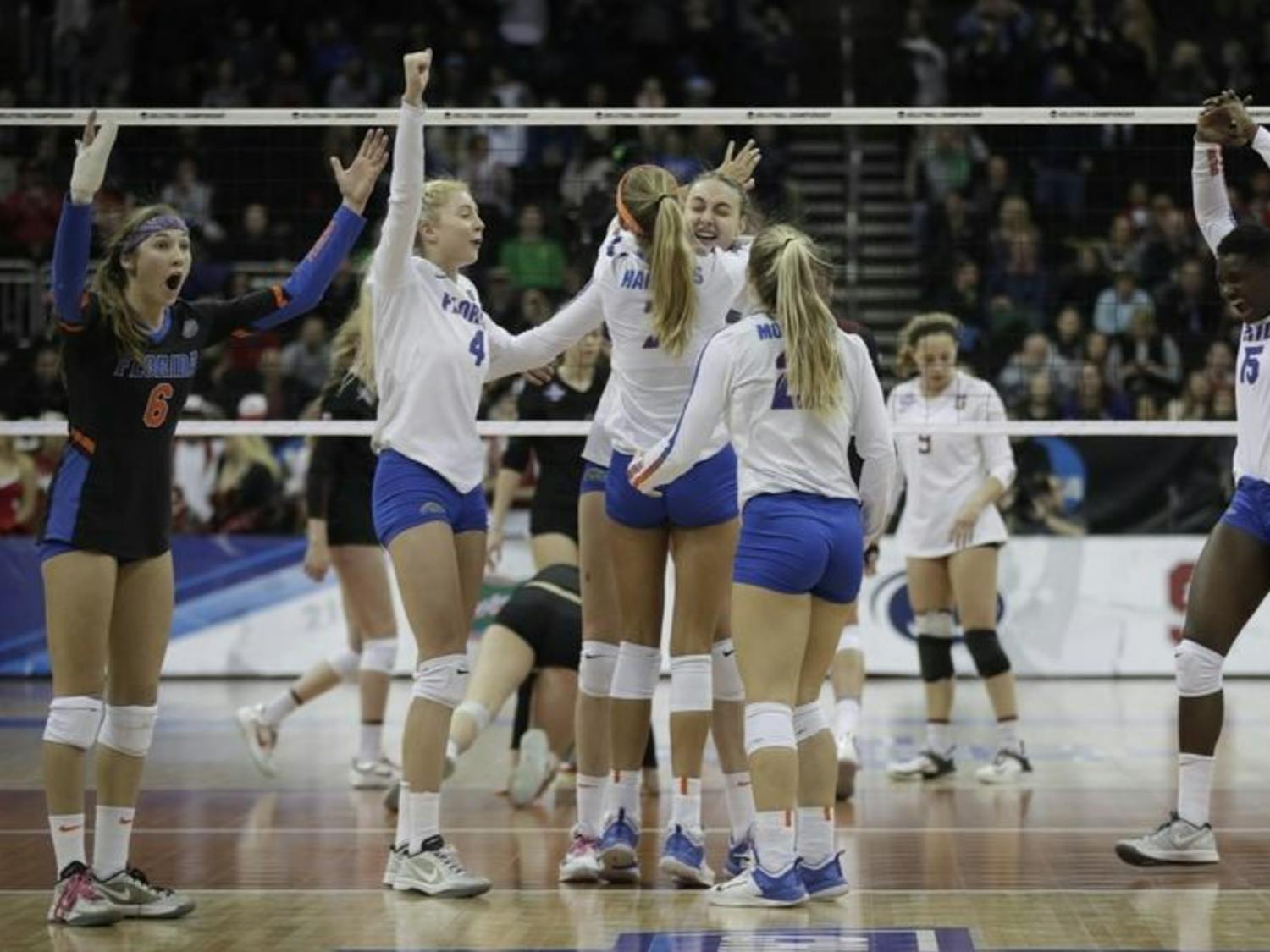 Despite coming up short in the national championship match, the 2017 Florida volleyball team had a season to remember.