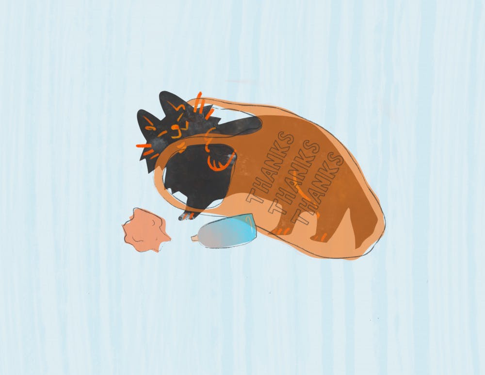 Besides cleaning up the environment, working out and improving the overall look of the city, a lot of good things can come from picking up trash. Like kittens, for example.