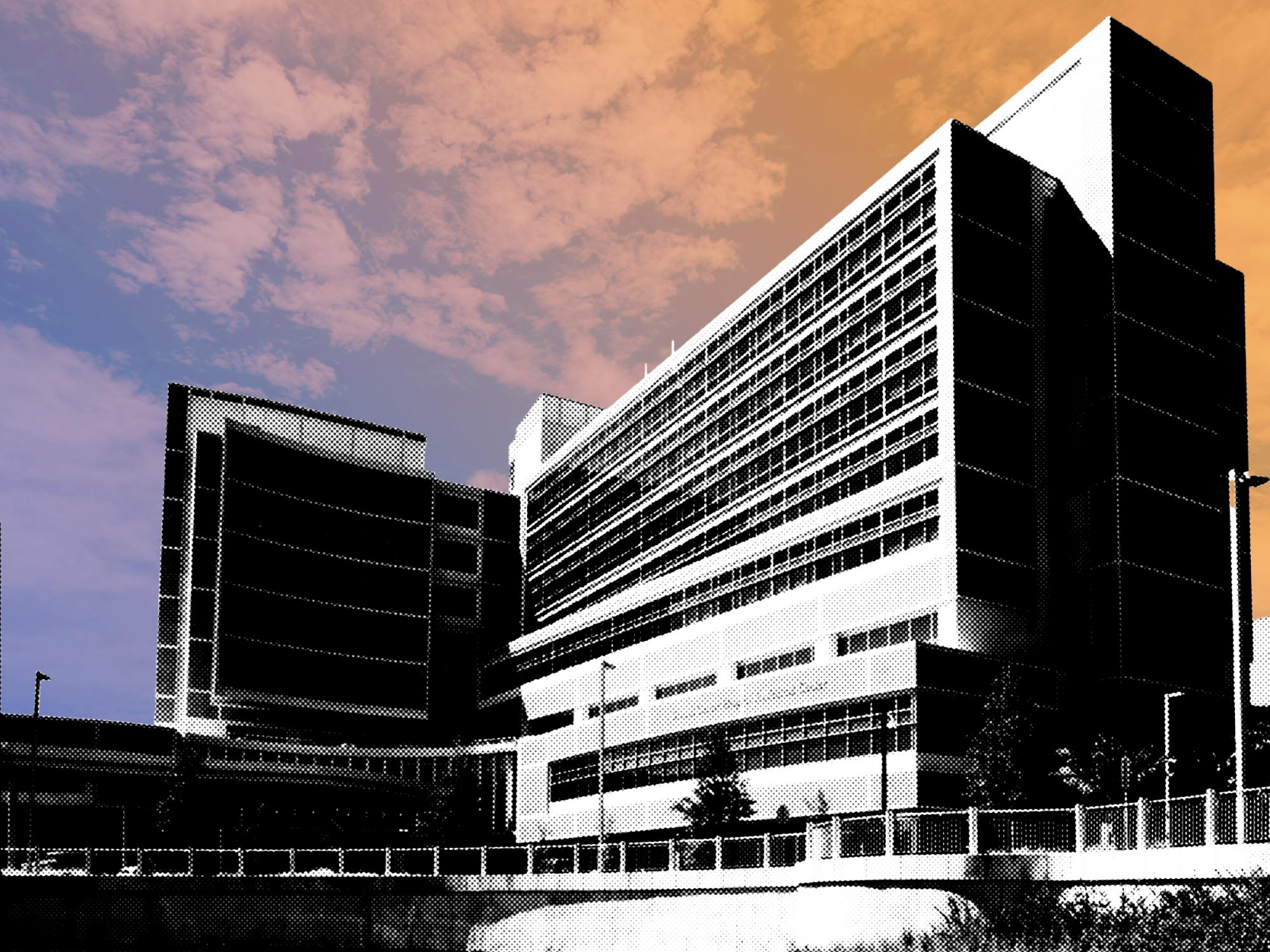 Members of Dr. Barbara Knox’s office have filed complaints that she is creating a hostile work environment and manipulating her incident reports towards different families.