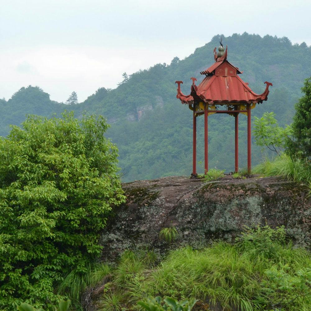 An international team of scientists has mapped the evolutionary relationships between China’s 30,000 flowering plant species, uncovering a distinct regional pattern in biodiversity.
