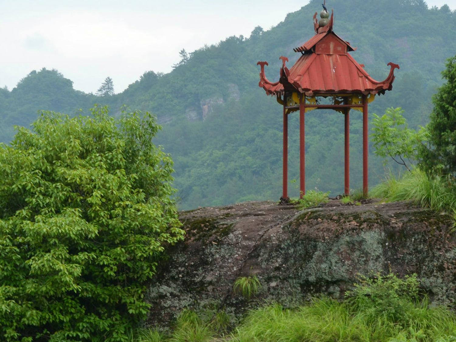 An international team of scientists has mapped the evolutionary relationships between China’s 30,000 flowering plant species, uncovering a distinct regional pattern in biodiversity.