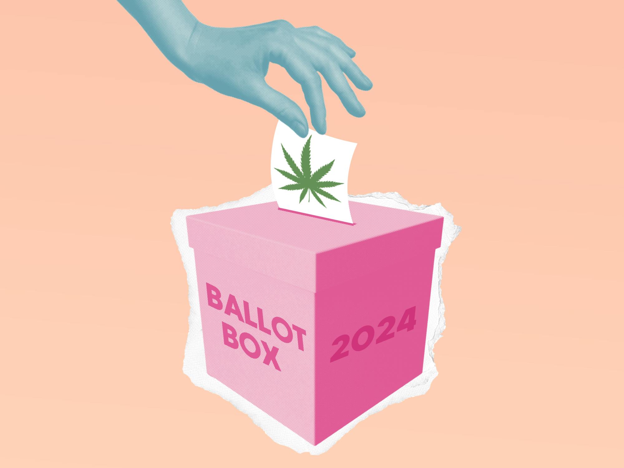 Questions concerning the legalization of marijuana have entered the polls, but some are skeptical.
