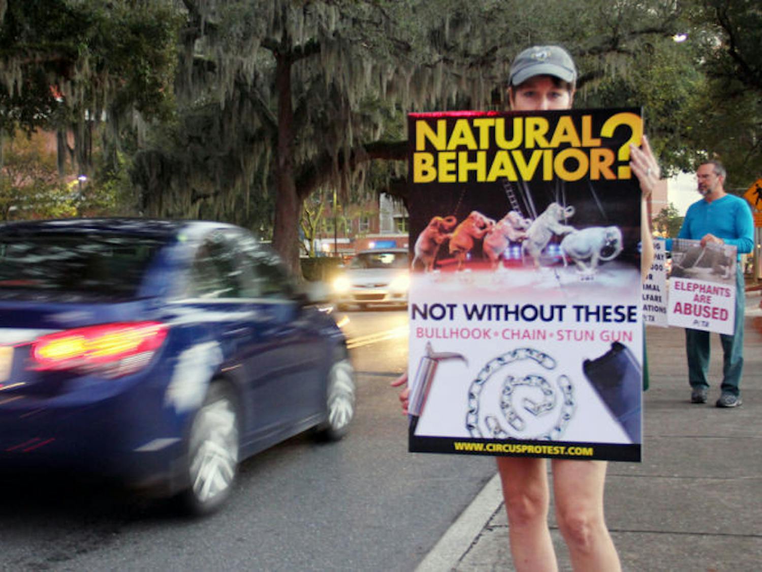A protester stands on the corner of West University Avenue and Gale Lemerand Drive on Friday in objection to weekend The Ringling Bros. Circus appearance in Gainesville. Protesters gathered with signs to voice their opinions on the circus’s treatment of its animals.