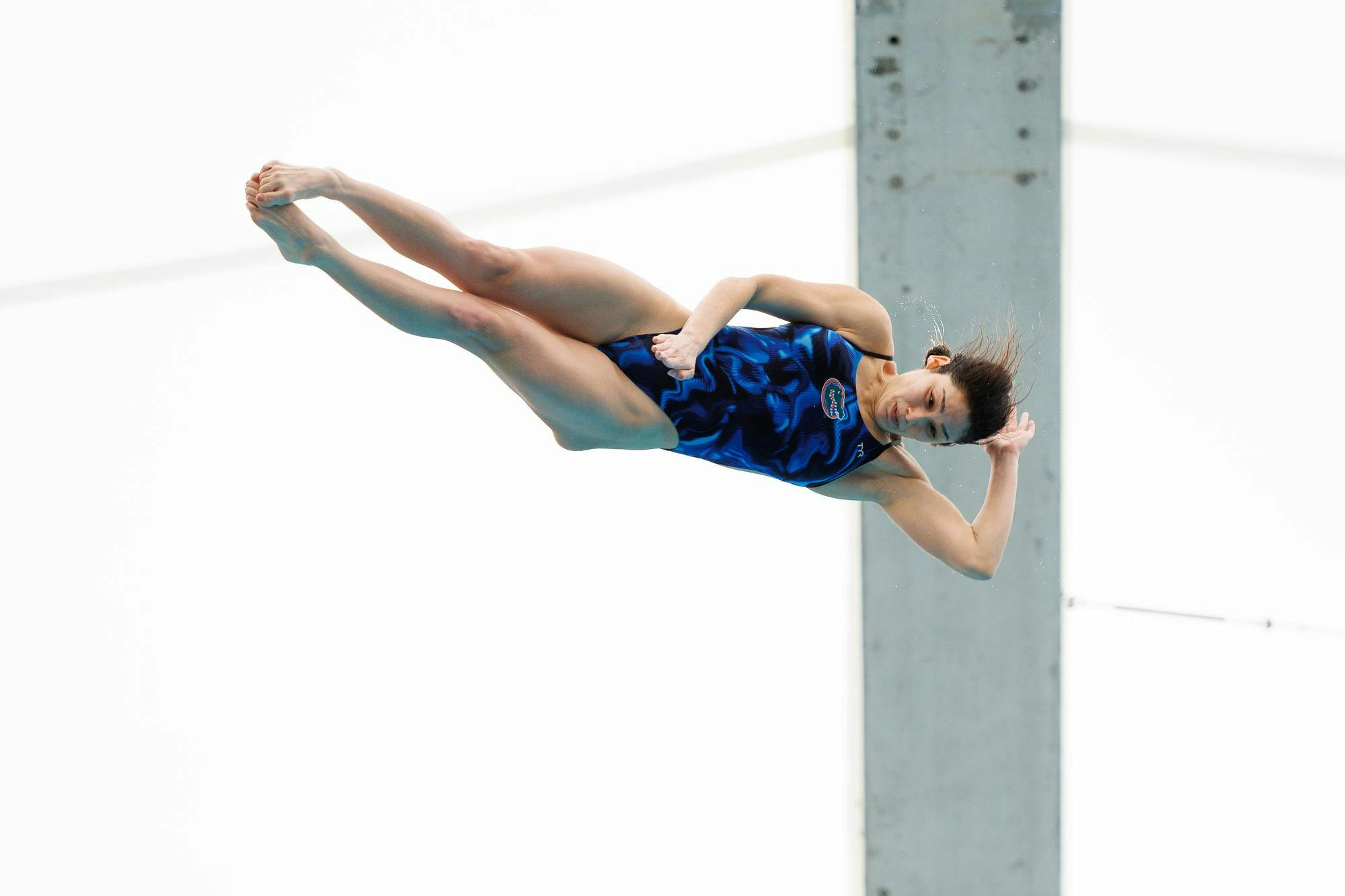 Camyla Monroy dives during a meet between the Florida Gators and Florida State Seminoles at the Stephen C. O'Connell Center Natatorium on Friday, Jan. 30, 2026.