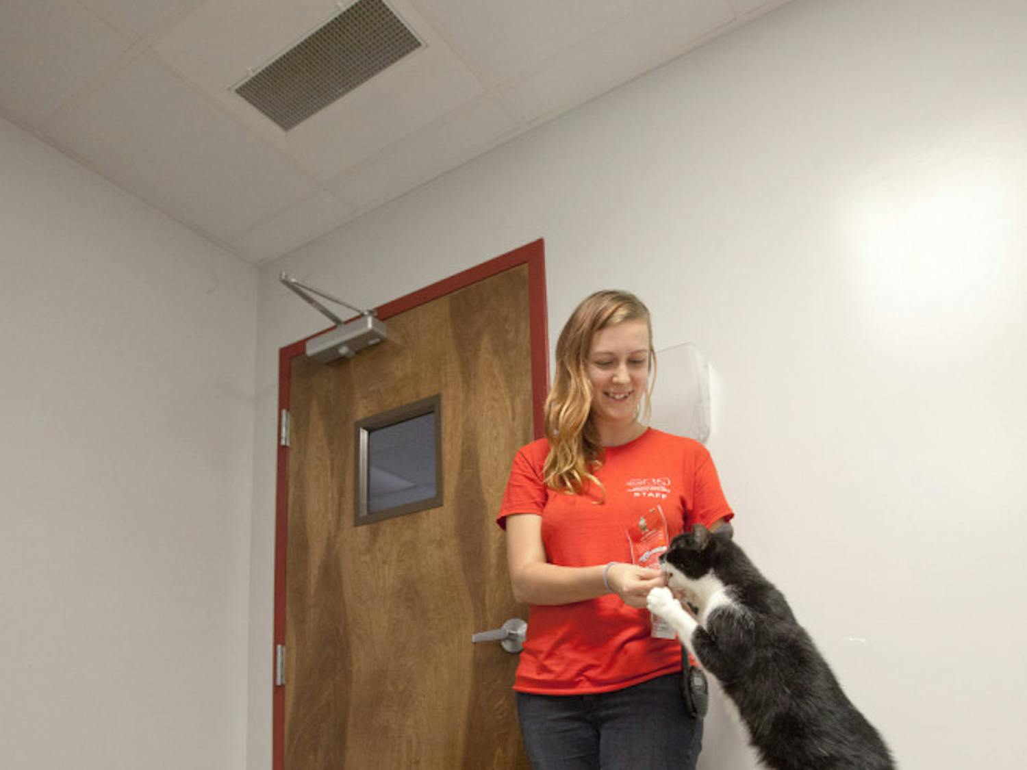 Amber Oden, 25, feeds a treat to Taz, a 4-year-old female cat, at the Alachua County Humane Society while Margo (from left), Odin and Willow play on the floor.