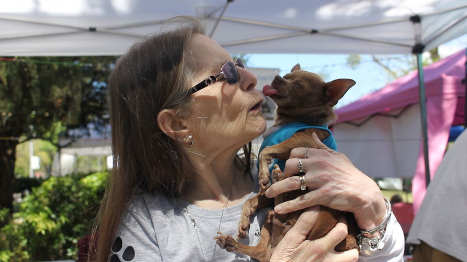 Gail Roland smooches a senior rescued Chihuahua. She and her husband, Ralph, share their 2,400-square-foot house in Melrose with 29 dogs. They adopt the seniors that shelters and owners can't keep. 
