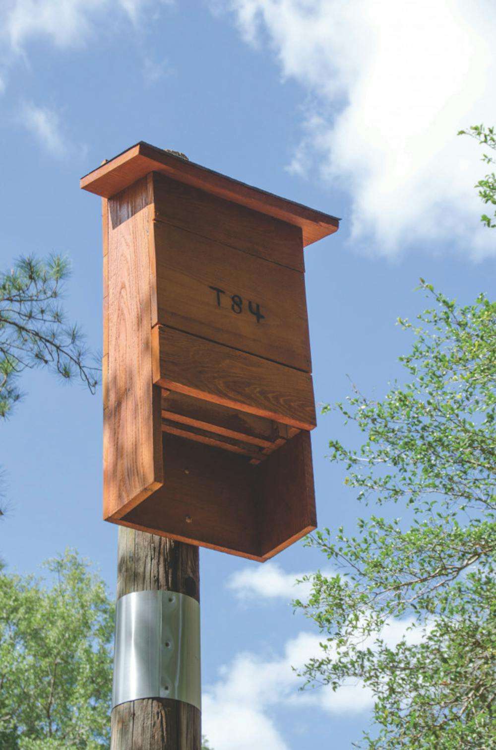 <p dir="ltr">The 15-foot structure will house about 200 bats.</p>