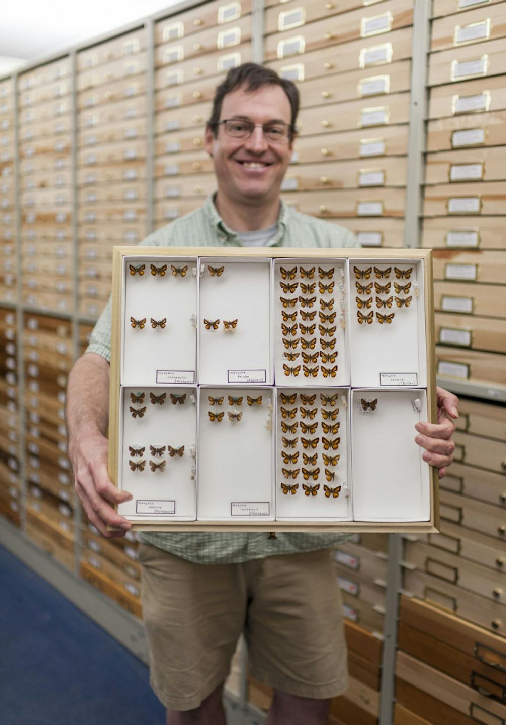 <p>Andrew Warren holds a box containing all of the McGuire Center’s Wahydra specimens. Wahydra graslieae, in the bottom right corner, is distinctly darker than other Wahydra.</p>