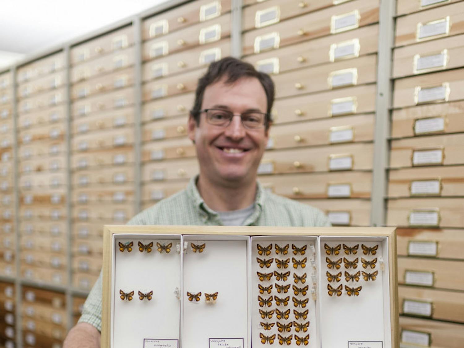 Andrew Warren holds a box containing all of the McGuire Center’s Wahydra specimens. Wahydra graslieae, in the bottom right corner, is distinctly darker than other Wahydra.