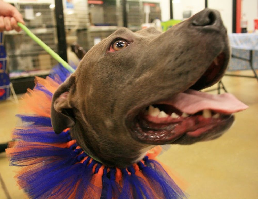 <p>Sadie, a 2-year-old pit bull, salivates as people walk past cages of animals up for adoption at PetSmart Saturday.</p>