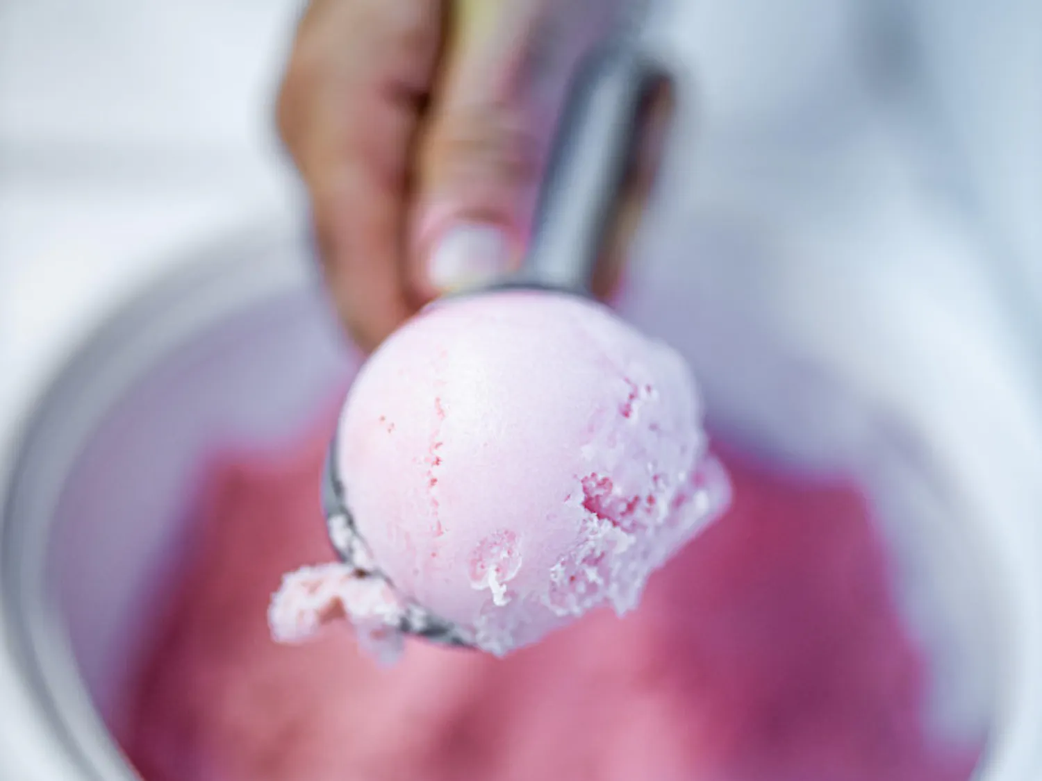 Gainesville-based Hoggetowne Creamery specializes in ice cream made from scratch and locally sourced ingredients.
