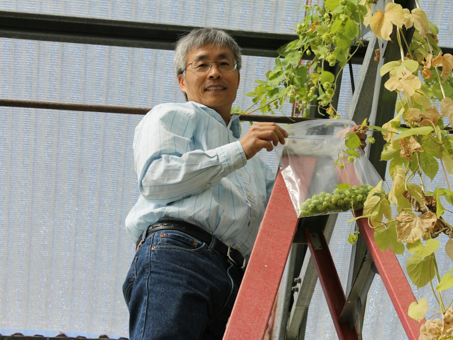 Zhanao Deng is one of the University of Florida scientists working on limiting the nematode problem in the state. Currently, Cascade hops have been the most successful.