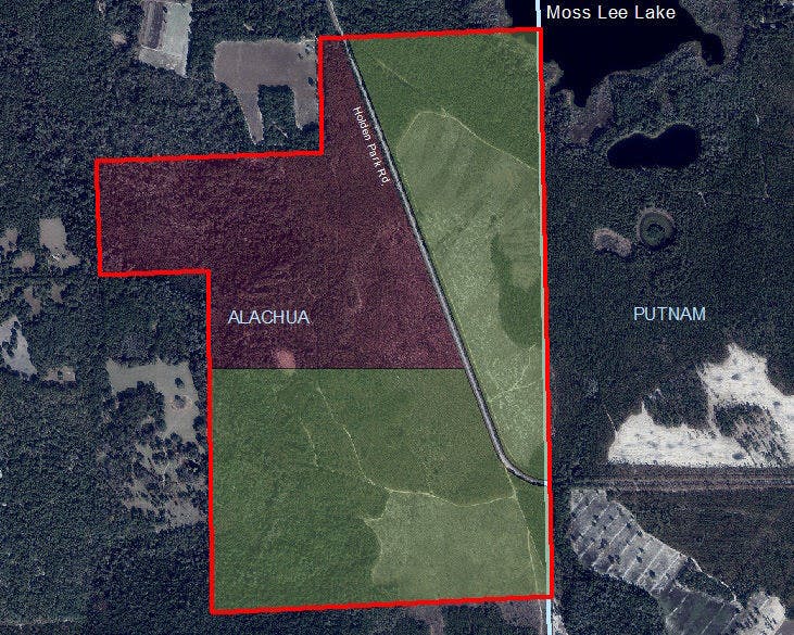 Alachua County and the Alachua Conservation Trust purchased 578 acres within the Lochloosa Forest Project area on Jan. 15 for $1.3 million for conservation.