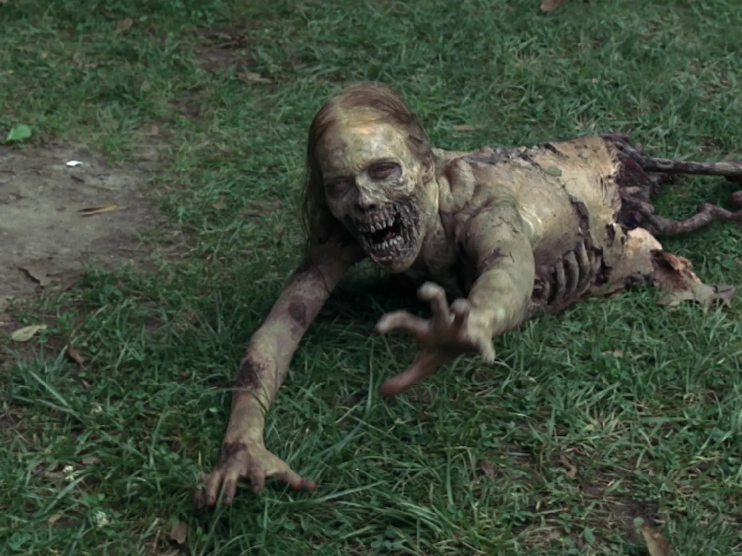 "Walking Dead"