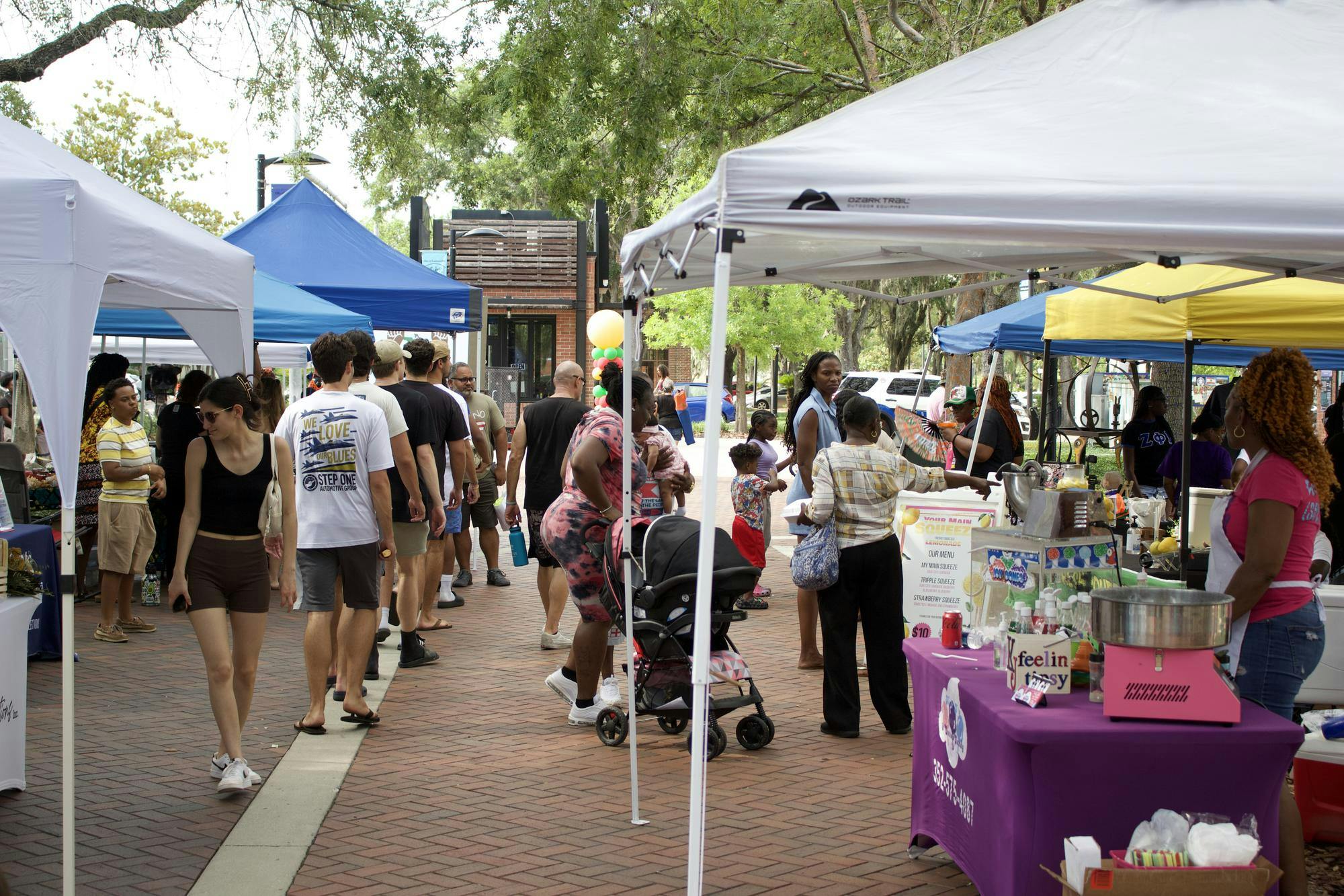 Crowds browse the vendors alley during Freedom Fest at Bo Didley Plaza on Saturday, June 21st.