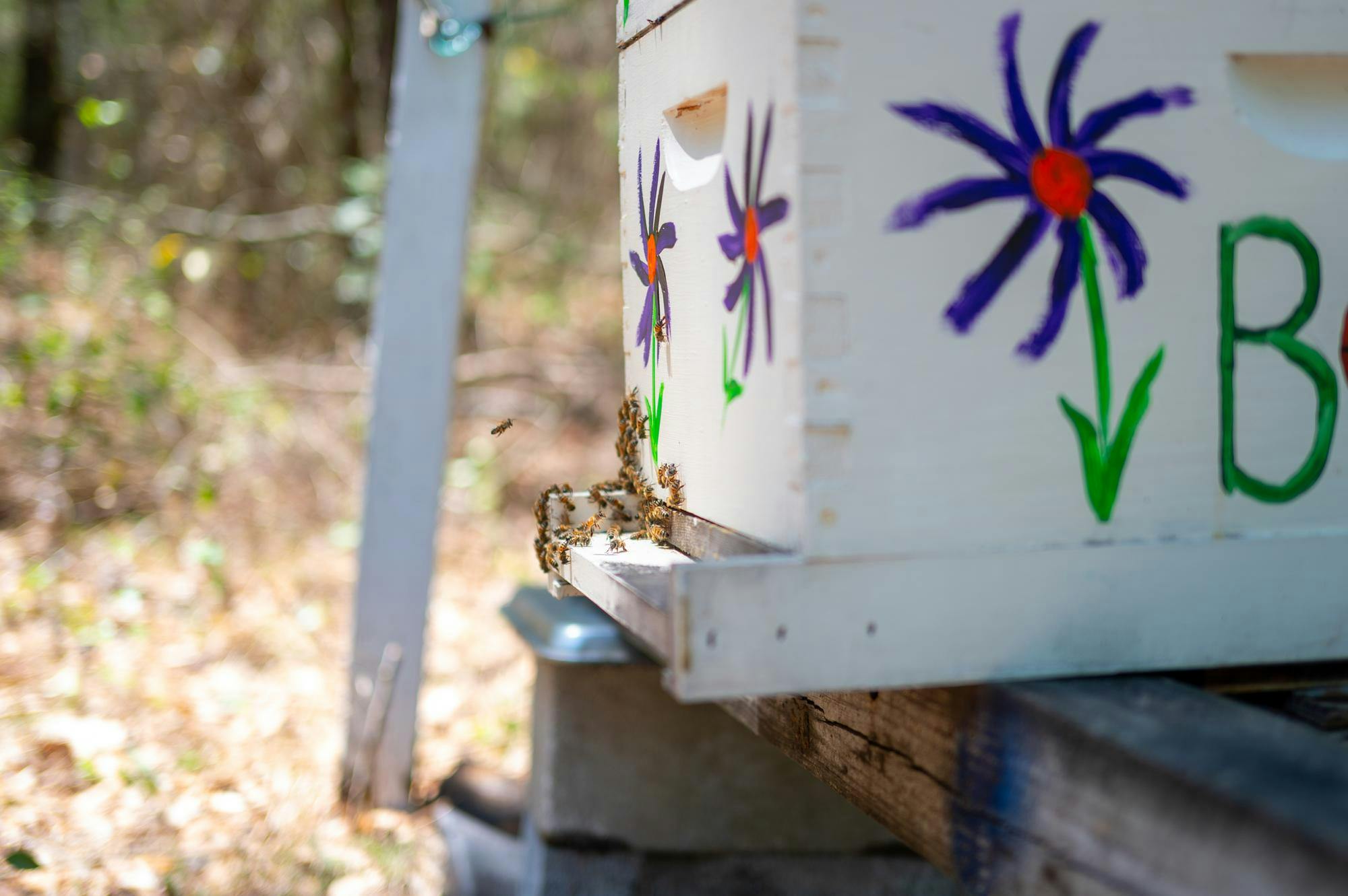 Bee Keeping