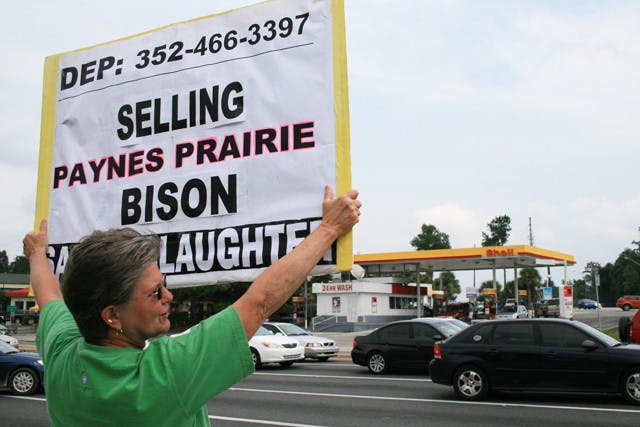 Sharon Nataline, 60, holds a sign on the corner of Archer Road and 34th Street to protest for the safe treatment of the bison at Paynes Prairie Preserve State Park.