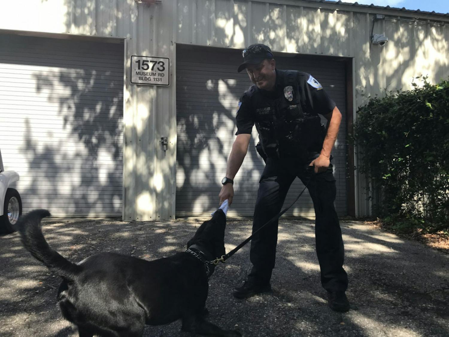 Boomer and officer Dale Holmes play tug-of-war with a rolled-up towel after Boomer finds the planted scent during a demonstration.