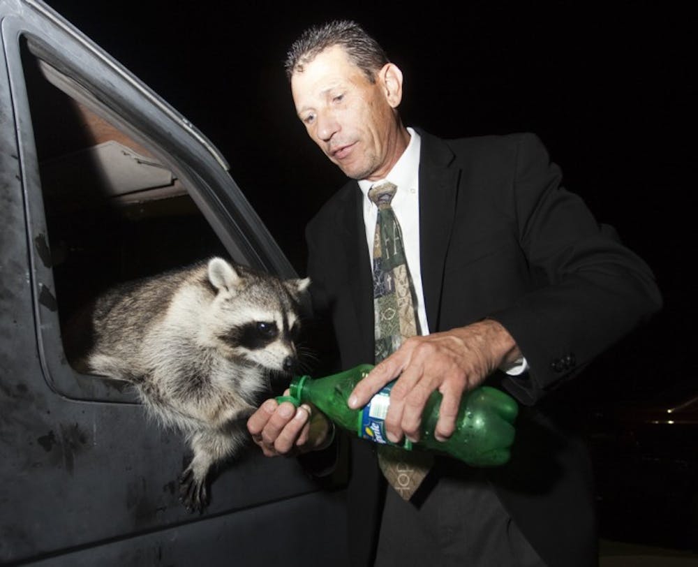 <p>Wayne Wheeler pours a drink for Eli, one of his three pet raccoons, outside the United Pentecostal Church, at 8105 NW 23 Ave., on Sunday.</p>