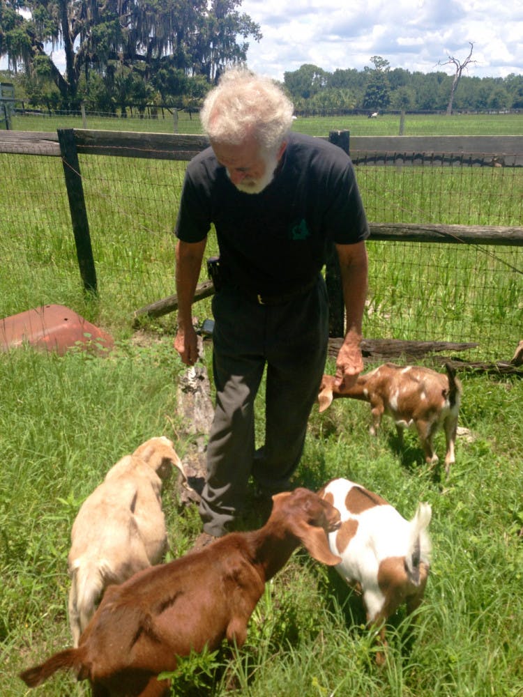 Charlie Meister tends to goats on his farm in Gainesville. Meister owns about 100 goats, 10 cows, 11 horses, 25 chickens, two roosters, five dogs and three donkeys.