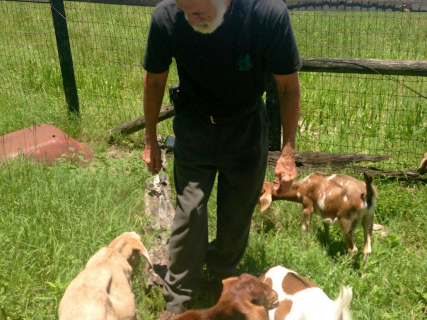 Charlie Meister tends to goats on his farm in Gainesville. Meister owns about 100 goats, 10 cows, 11 horses, 25 chickens, two roosters, five dogs and three donkeys.
