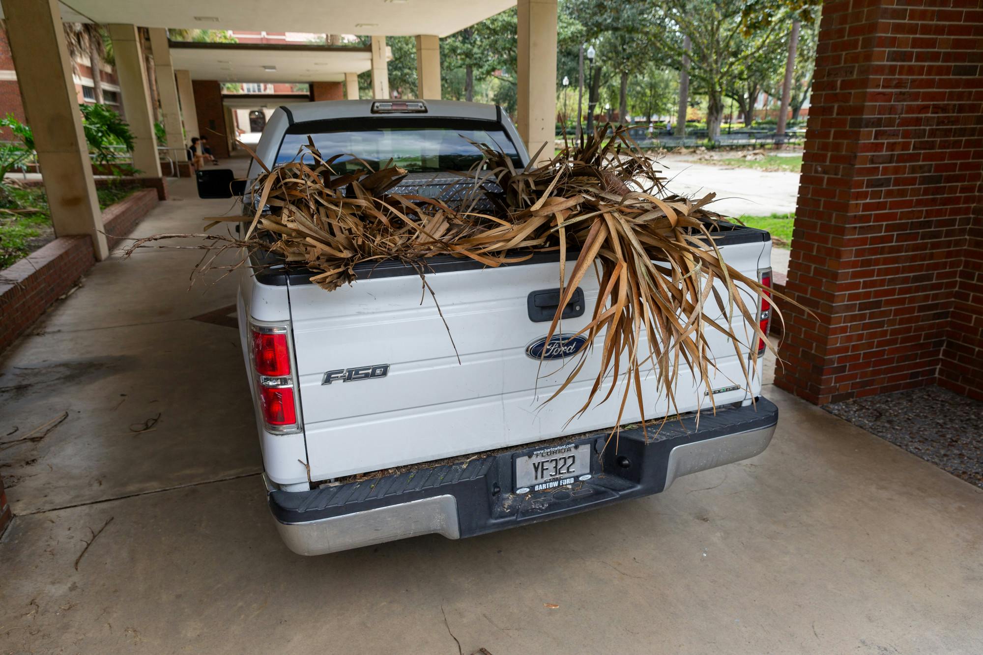 Dead palm fronds are seen in the back of a truck as clean up efforts took place on Friday, Sept. 27.