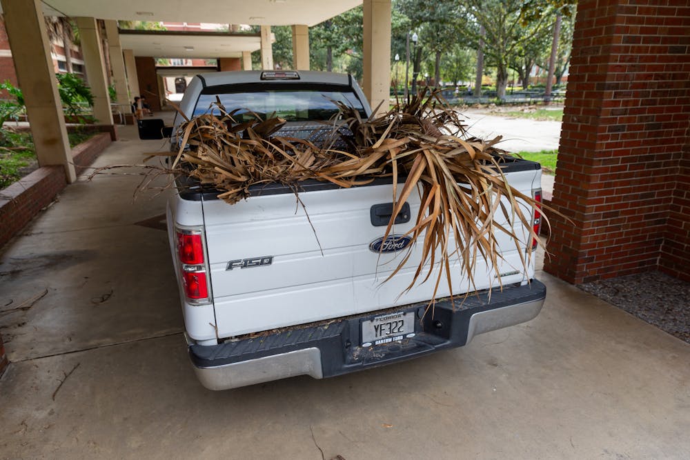 <p>Dead palm fronds are seen in the back of a truck as clean up efforts took place on Friday, Sept. 27.</p>