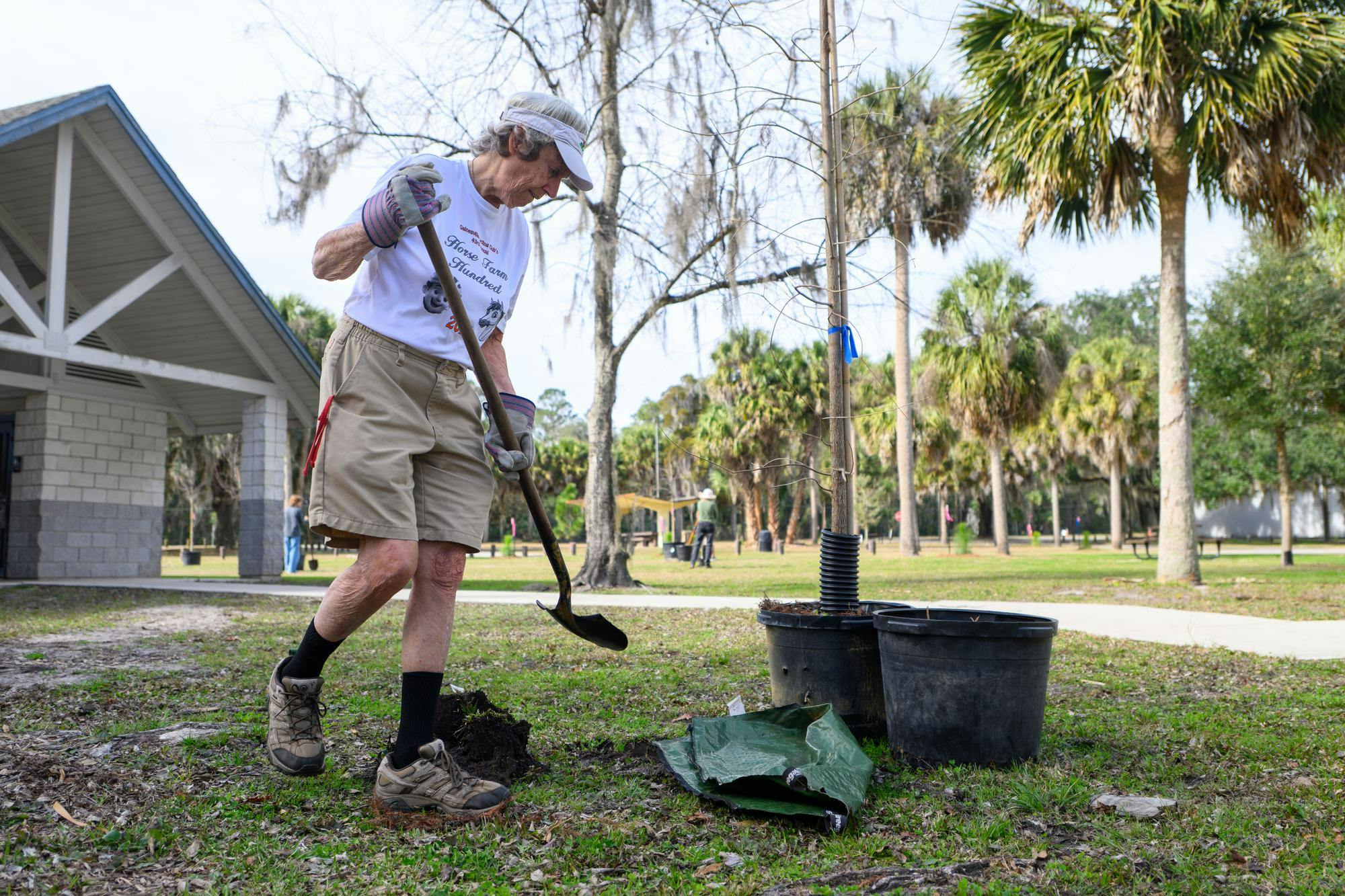 Judy Gardner, a tree planting volunteer, digs a hole during an Arbor Day festival at Earl P. Powers Park in Gainesville, Fla., Saturday, Jan. 17, 2026.